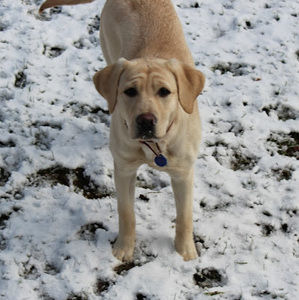 Meet your Posher, Hannah